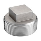 Stainless Steel Fittings